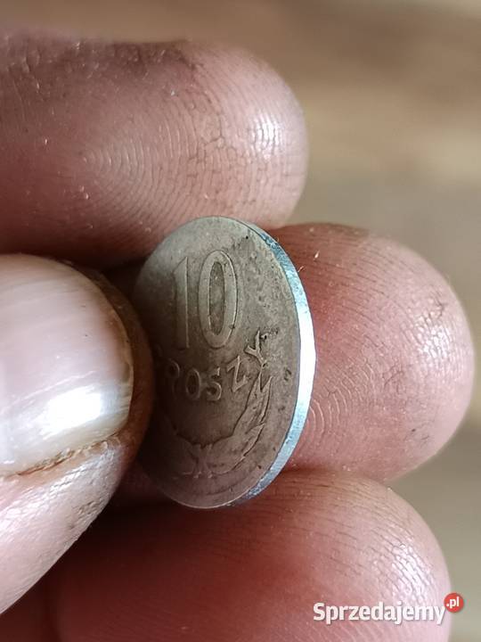 Sprzedam 10 groszy 1965 lubelskie Chełm sprzedam