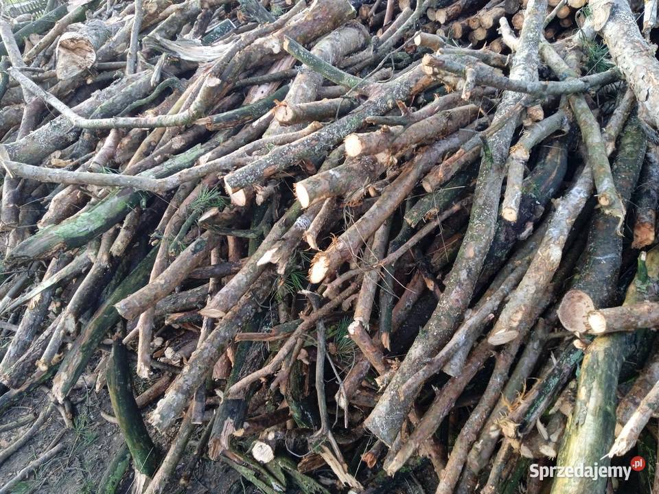Sprzedam drewno pomorskie Karsin sprzedam