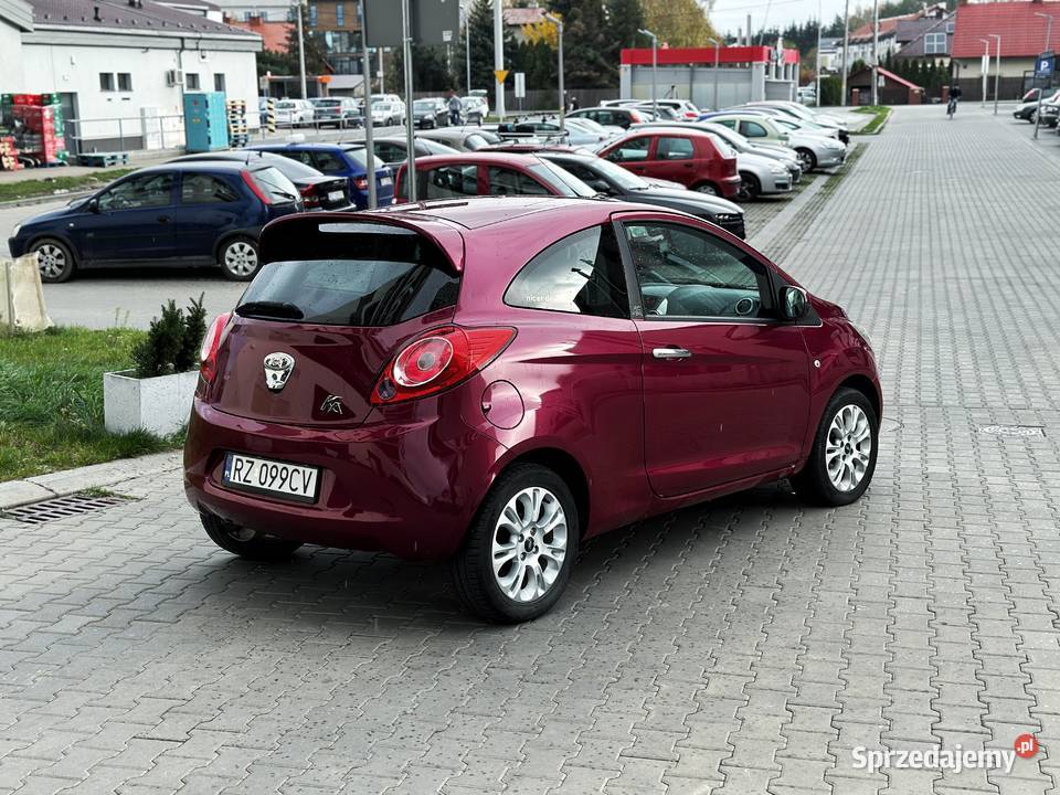 Ford Ka RU8 Titanium ST 2/3 Rzeszów
