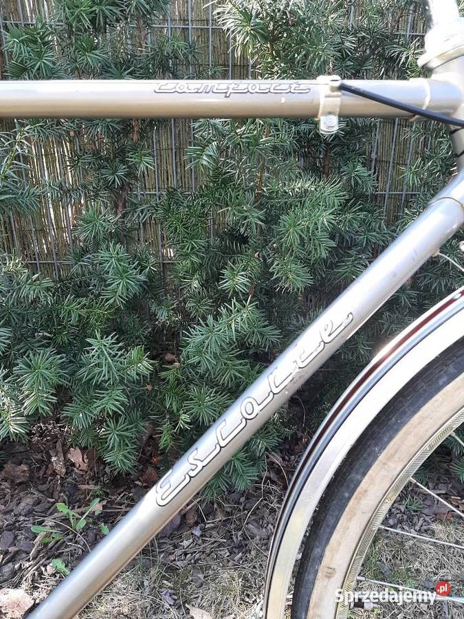 Hipsterski rower Escorte Comfort Warszawa