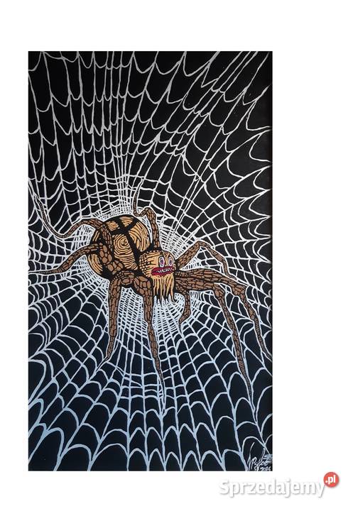 Pająk Pajęczyny Nocnej Malarstwo Gorliczyna