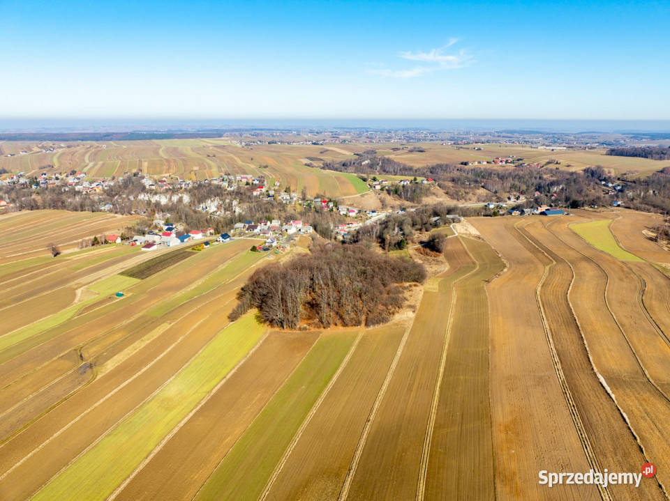 Działki rolne w pięknej okolicy 39282.63m2 Sułoszowa