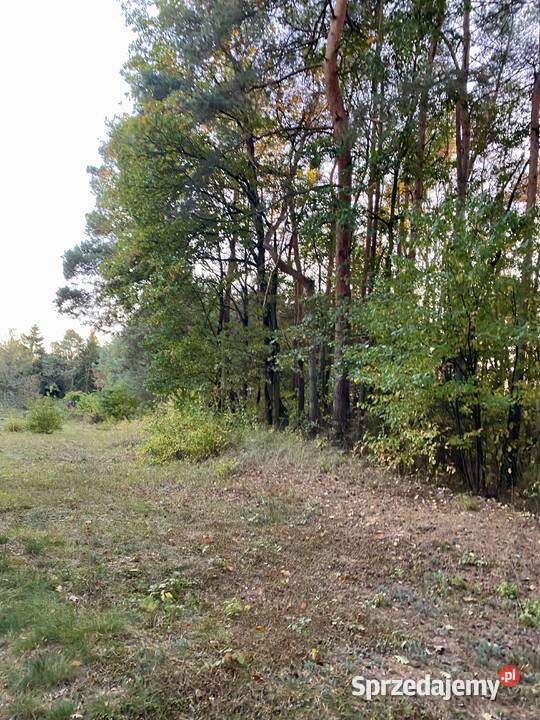 Działka 2100 m2 Skrzeszew Wieliszew Budowlana