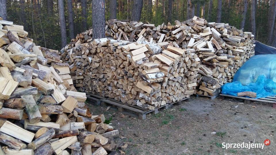 Drewno drzewo brzoza rąbane układane Dom i Ogród mazowieckie Łosice