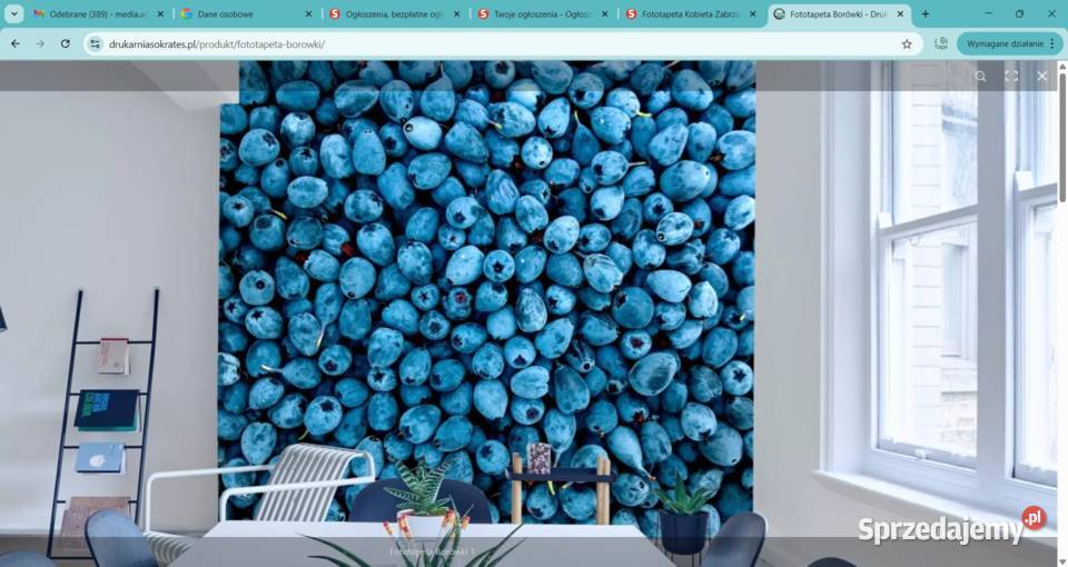 Fototapeta Borówki sprzedam