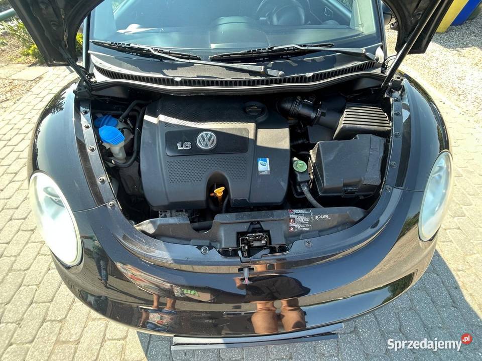Volkswagen Beetle 16 benzyna Dolna Grupa