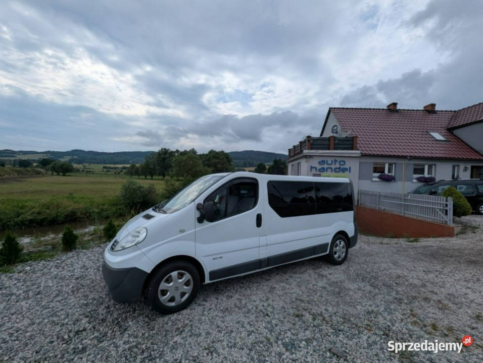 Renault Trafic Long Passenger Nawiewy II elektryczne lusterka Renault Kamienna Góra