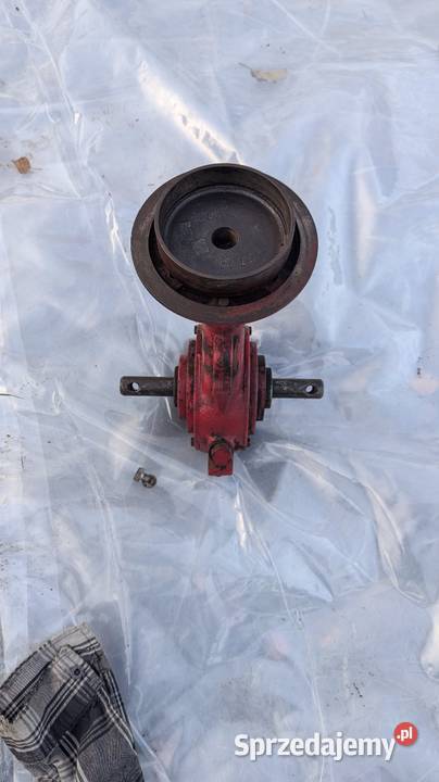 Cylinder nom i 1 szlif do Terra