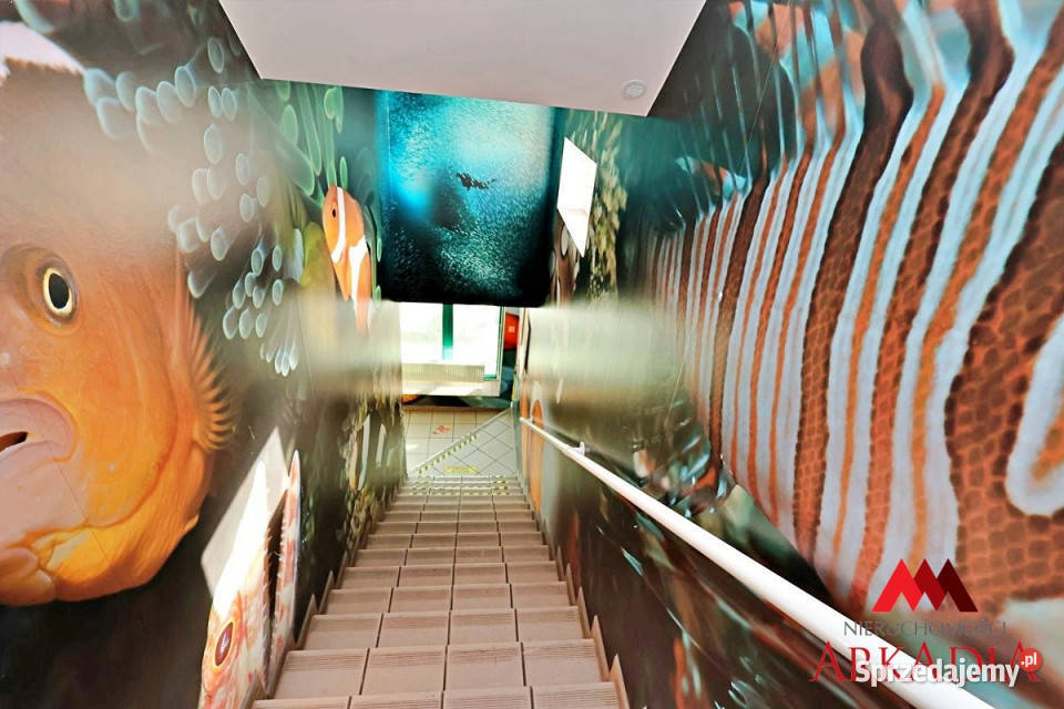 wynajmu lokalu 500 metrów Włocławek kujawsko-pomorskie sprzedam