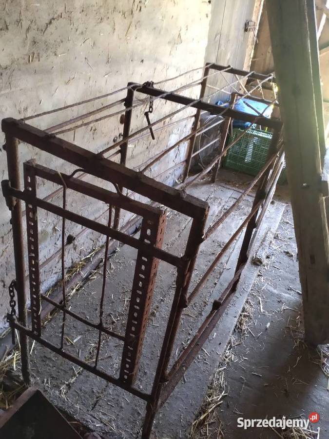 Kojec porodowy Rusociny