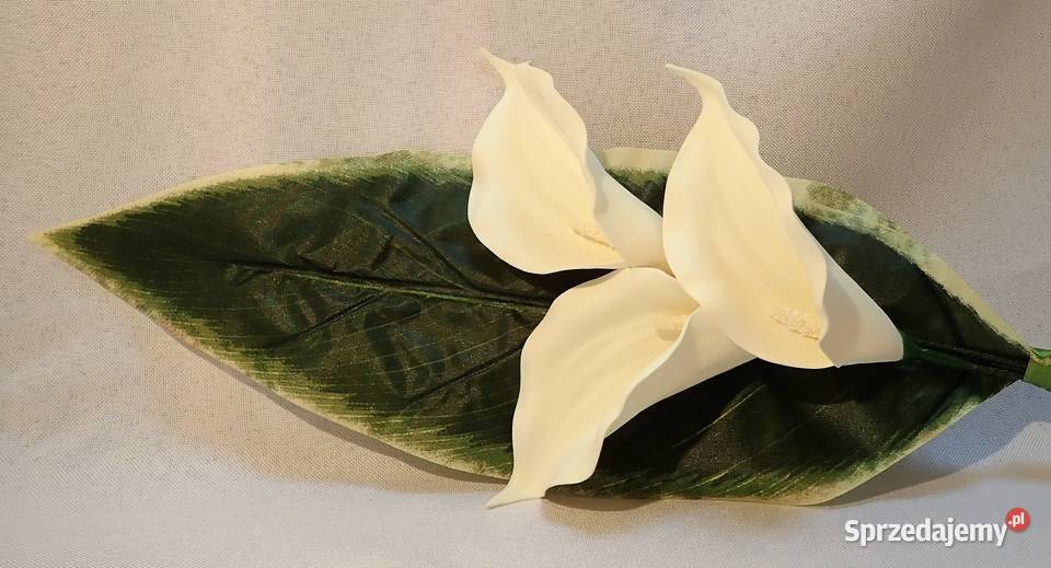 Kalia sztuczna wyrobowa gumowana do bukietów 2 Siewierz