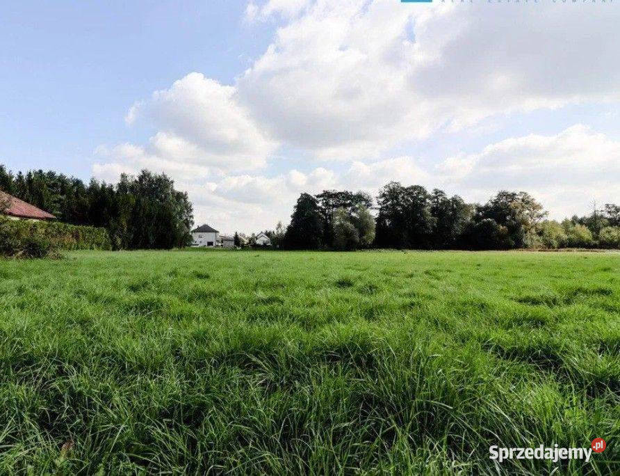 Cholerzyn działka budowlana 8 arów