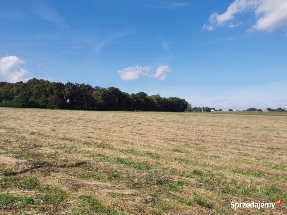 Sprzedam działkę budowlaną 15 arów z MPZP Jegłowa