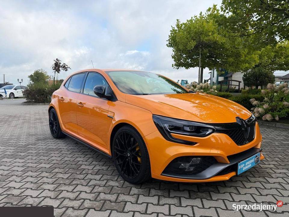 Renault Megane 18 TCe FAP RS EDC 280 2018r wielkopolskie Krotoszyn