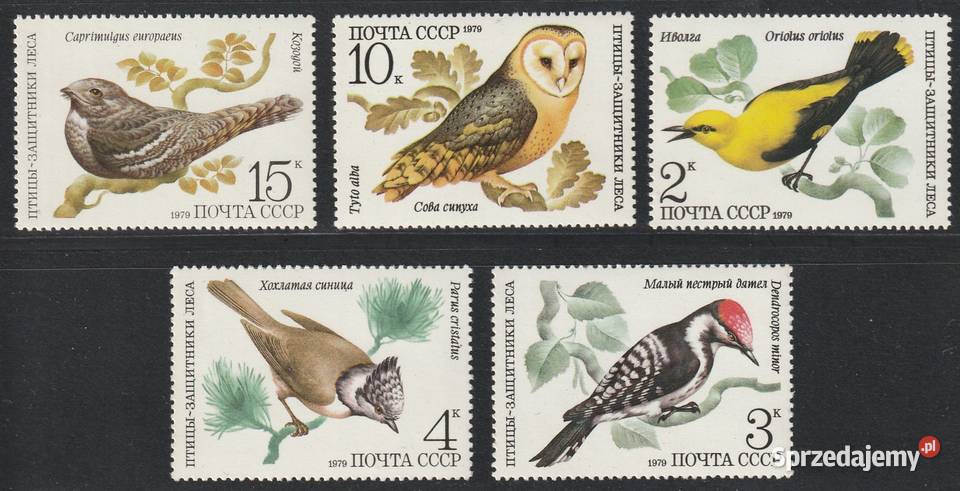 ROSJA ZSRR PTAKI FAUNA 1979 CZYSTE Łódź