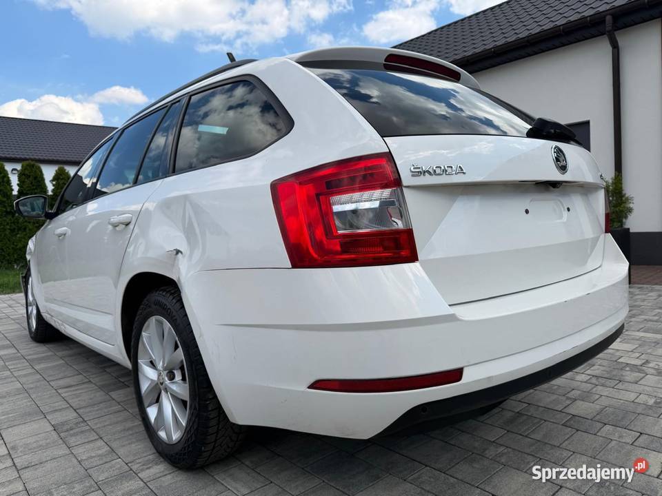 Dsg Tanio Turek