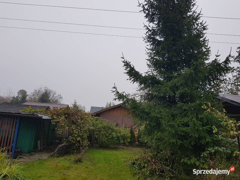 Działka rod w centrum miasta Sochaczew