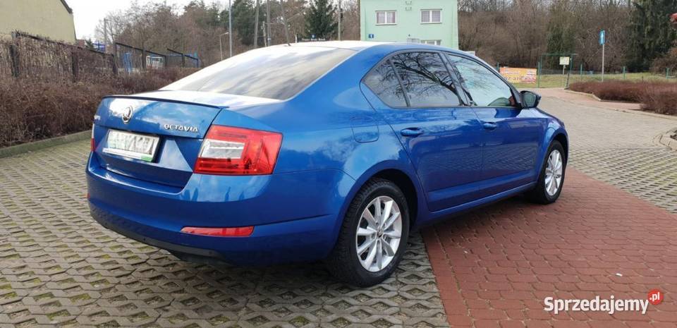 SKODA OCTAVIA III 2016 PIERWSZY WŁAŚCICIEL podgrzewane fotele Octavia mazowieckie Serock