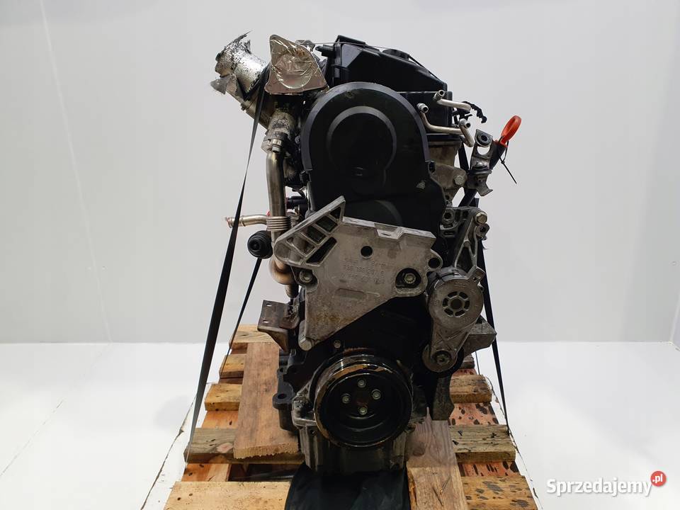 SILNIK BLS VW Passat B6 Golf V Touran Jetta III Rudka
