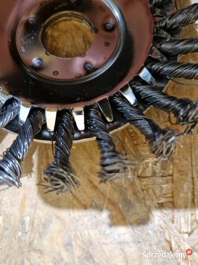 BLACK DRUCIAK TARCZA SZCZOTKA DRUCIANA DO KOSA wielkopolskie Głogowa