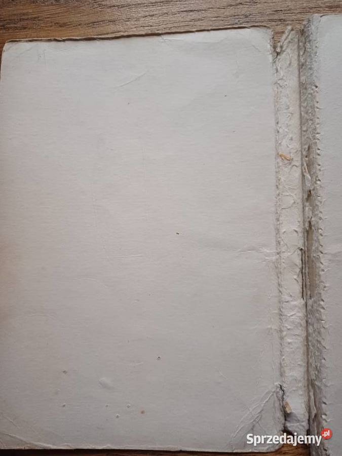 O chłopcu który szukał domu I Jurgielewiczowa Książki i Podręczniki Kraków