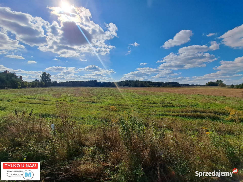 Grunt 1975m2 Chmielnik