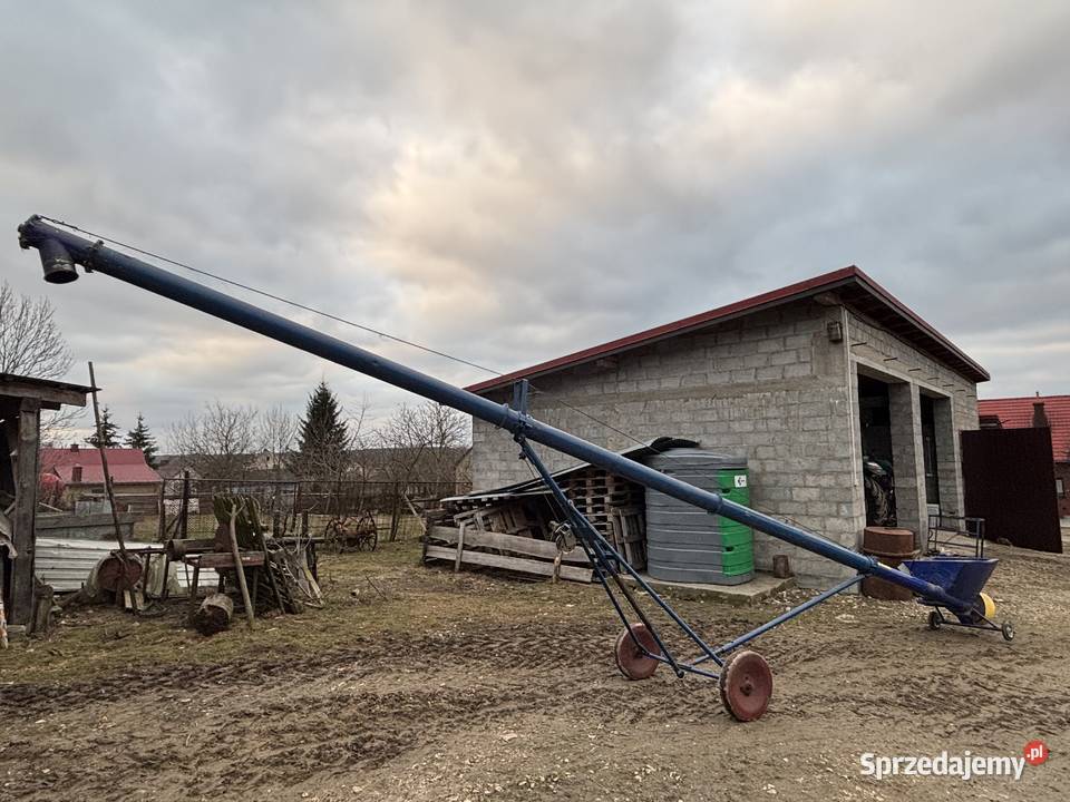 Żmijka Osuch łódzkie Bęczkowice