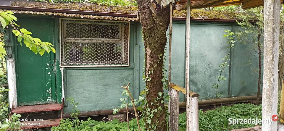 Barak barakowóz kontener budowlany Bydgoszcz