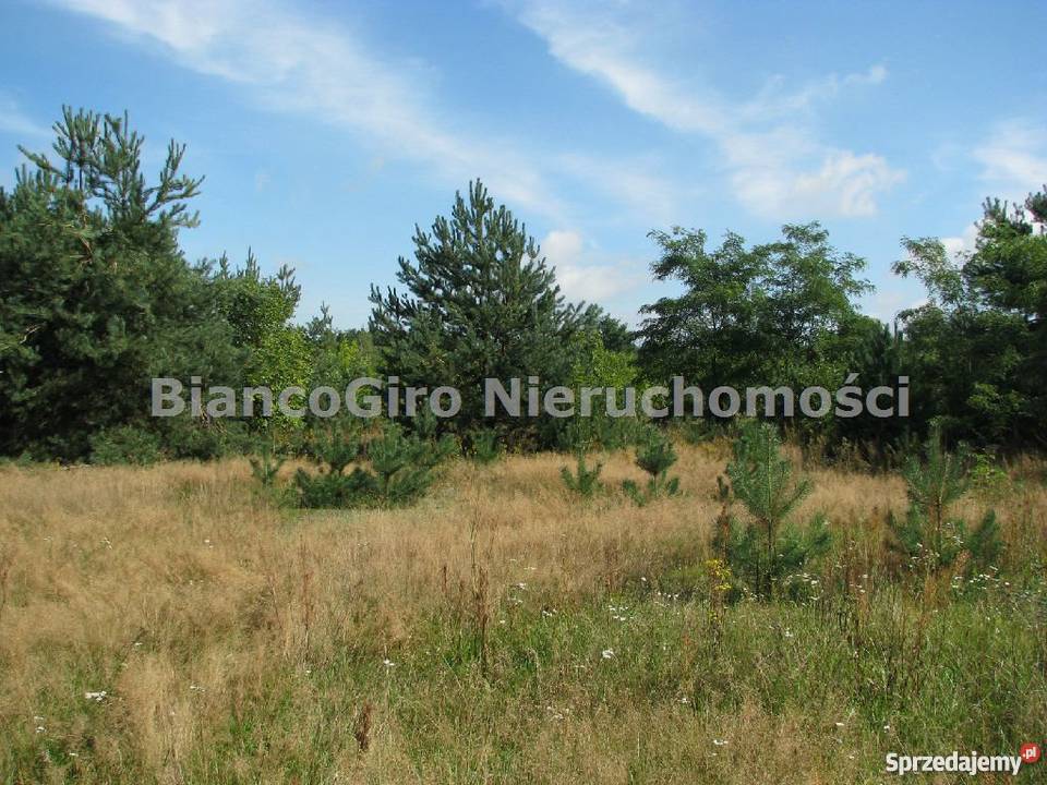 działka rolna 49000m2 BrochówKolonia Sprzedajemy.pl