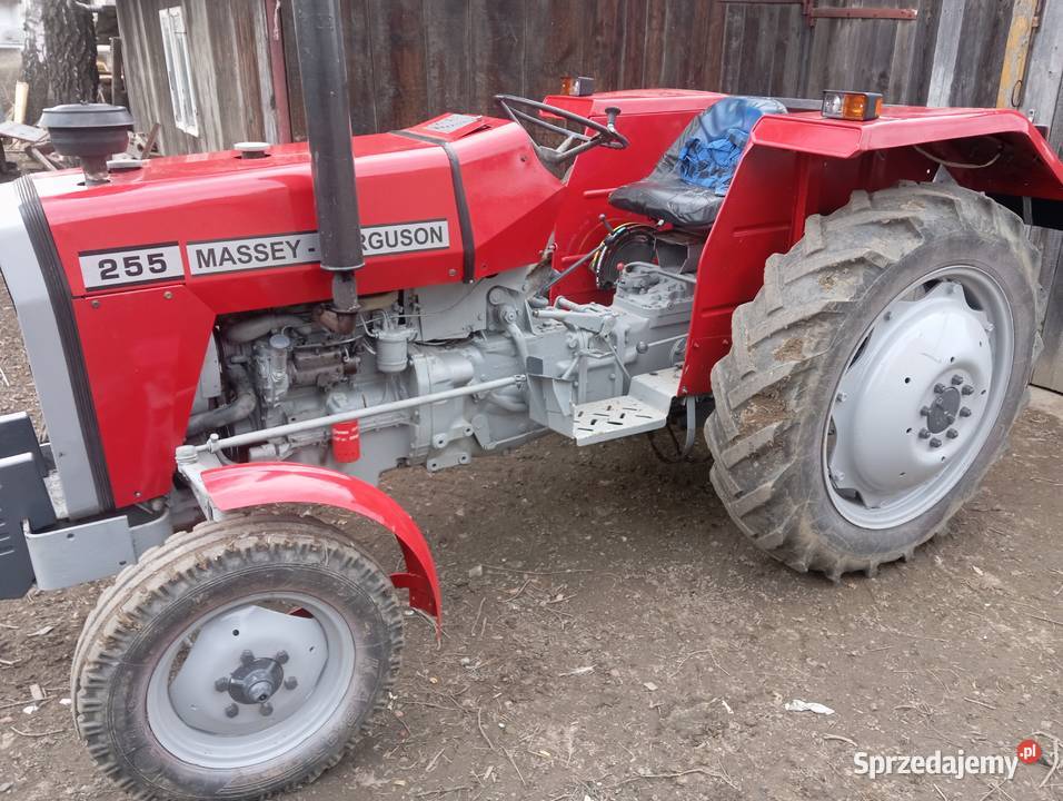 Massey Ferguson 255 małopolskie Bobowa