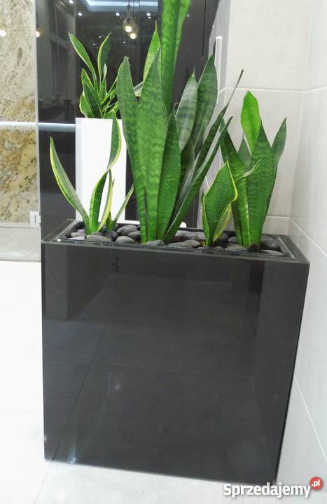 Glamour OSŁONKA Donica 55x55x20 LACOBEL BROKAT czarny Łódź