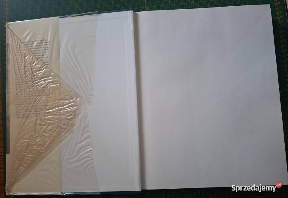 Życie i twórczość PierreAuguste Renoir Arkady twarda z obwolutą Kraków