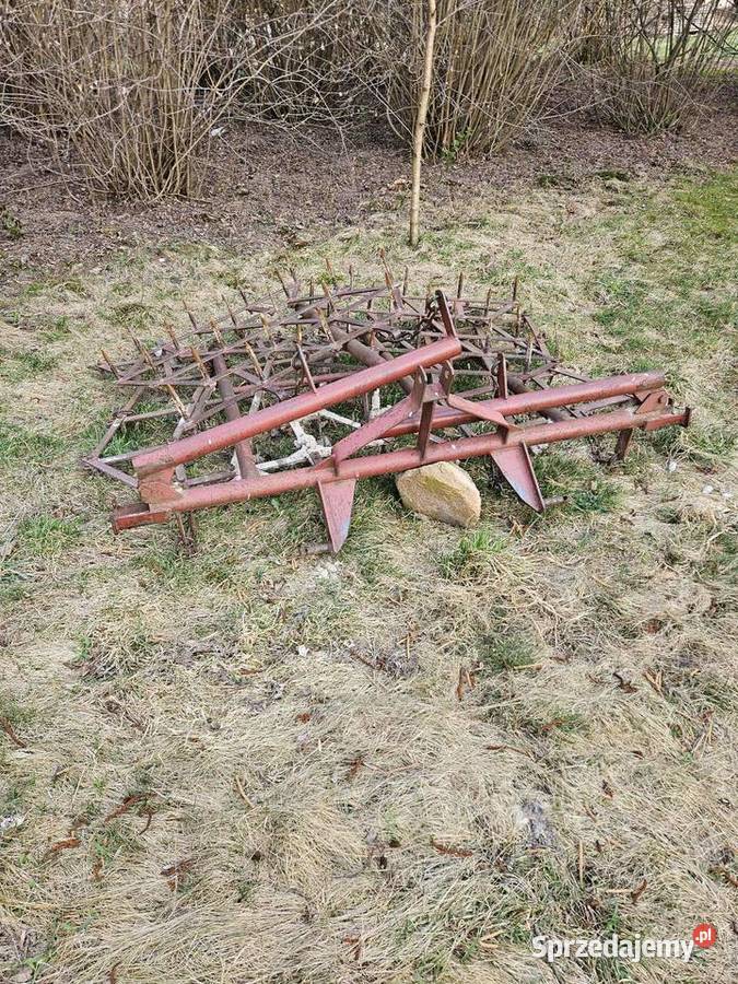 Brony nieuszkodzony Frampol