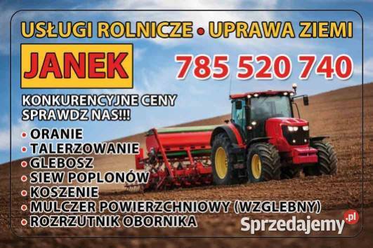 Oranie uprawa uslugi rolnicze przysucha Przytyk Rusinów