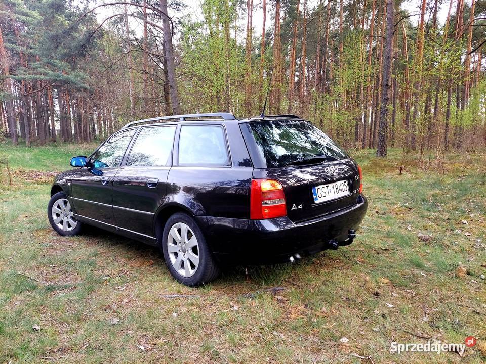 Audi a4b5 lift 19TDI 110 bez wkładu pomorskie Czarna Woda