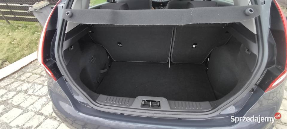 Ford Fiesta MK7 lift gotowy do rejestracji sprowadzony śląskie Drogomyśl