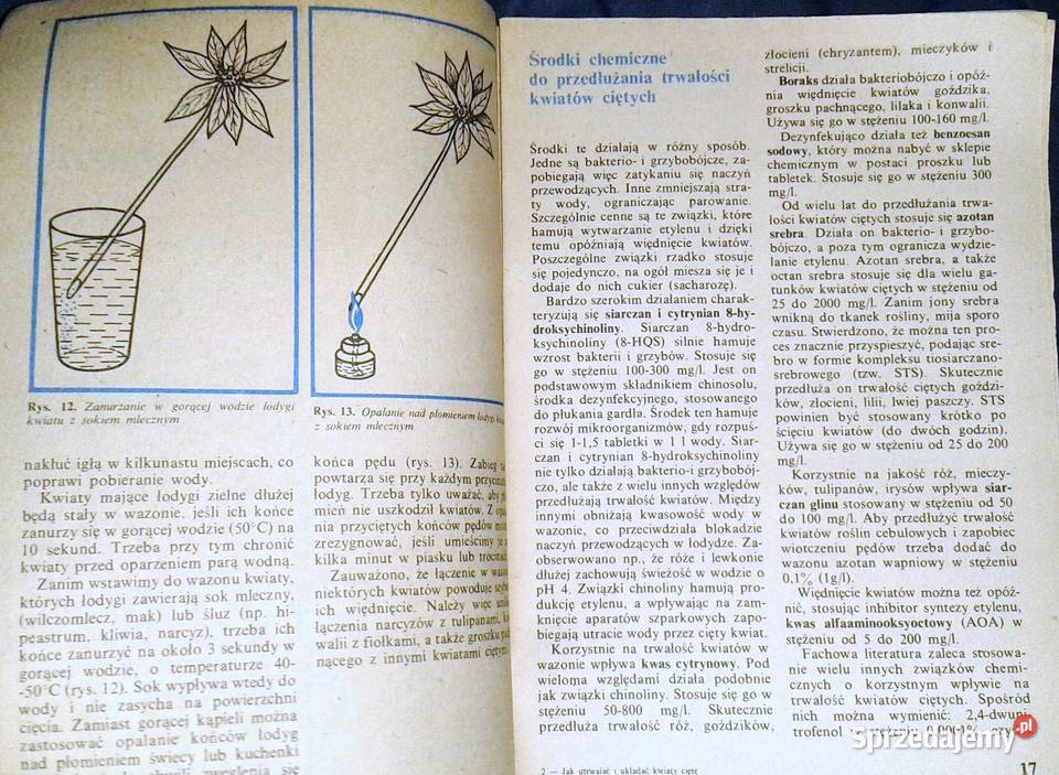 utrwalać i układać Kwiaty cięte w wazonie Chełm