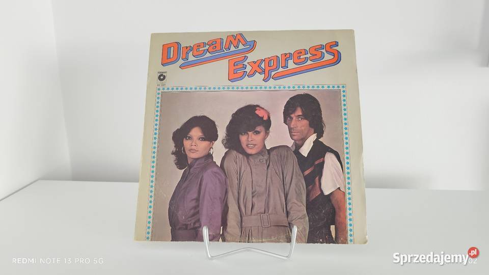 Płyty Winylowe Duża ilość Wiązów