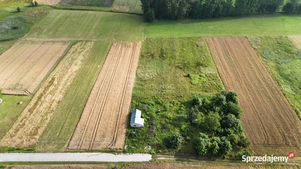 Sprzedam siedlisko w Bożej Woli gm Adamów sprzedam