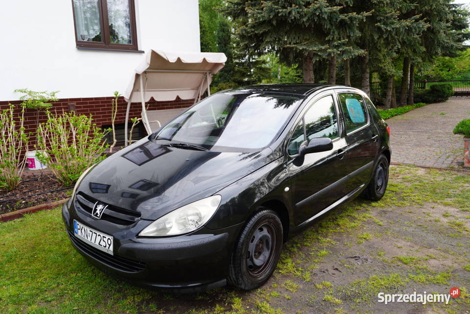 Peugeot 307 Mistral 2003 r 16 16V Benzyna 109 5 manualna