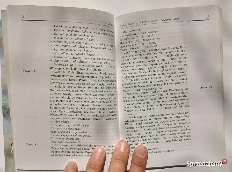 Pokochać FredręZrozumieć Mickiewicza Książki naukowe i popularnonaukowe Bielsko-Biała