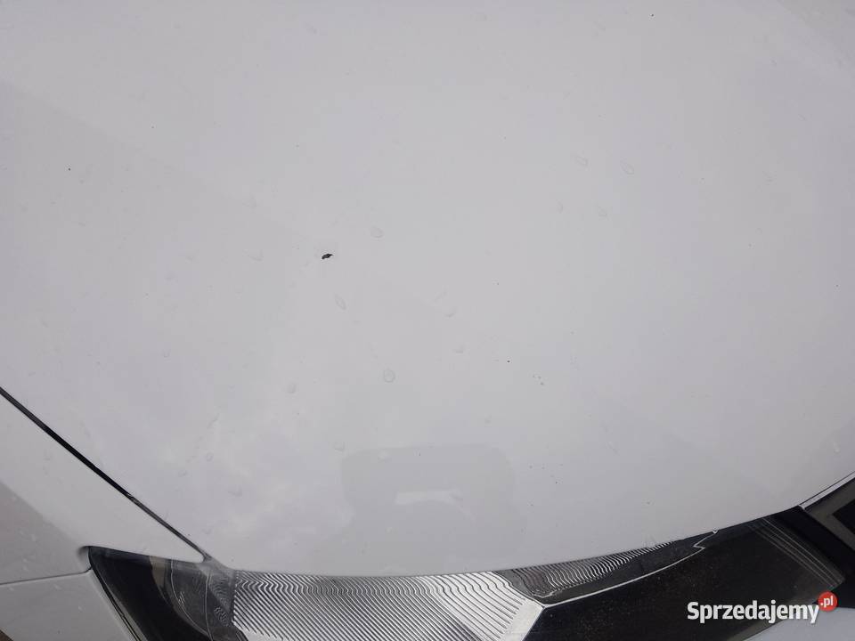 Skoda Rapid 16 TDI Biłgoraj