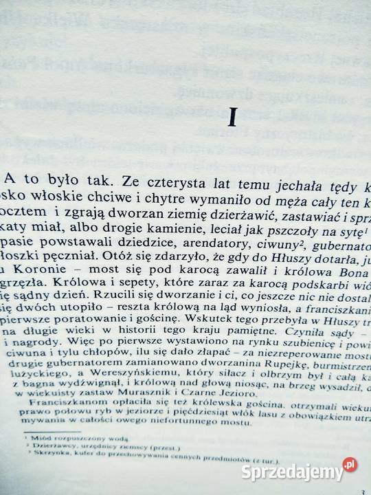 Florian z wielkiej głuszy Rodziewiczówna książki Warszawa sprzedam