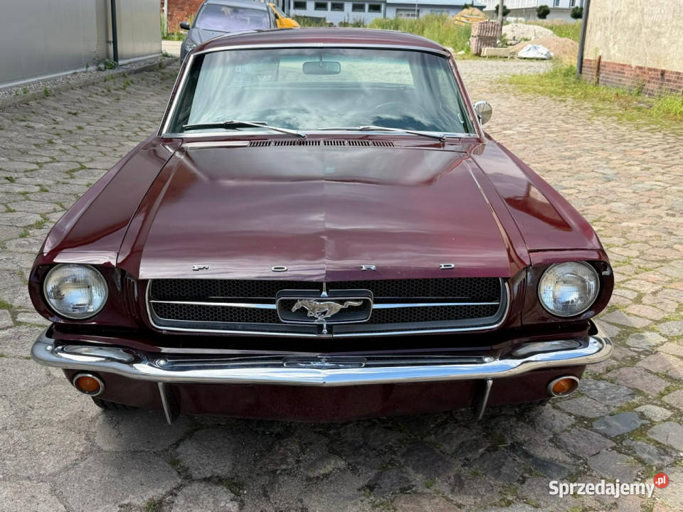 Ford Mustang 1965 Ford Mustang 289 v8 Automat 4700cm3 Koszalin