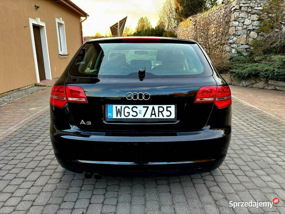 Audi A3 Sportback Lift 19 TDI DSG 5 Drzwi Serwis A3 Zagnańsk