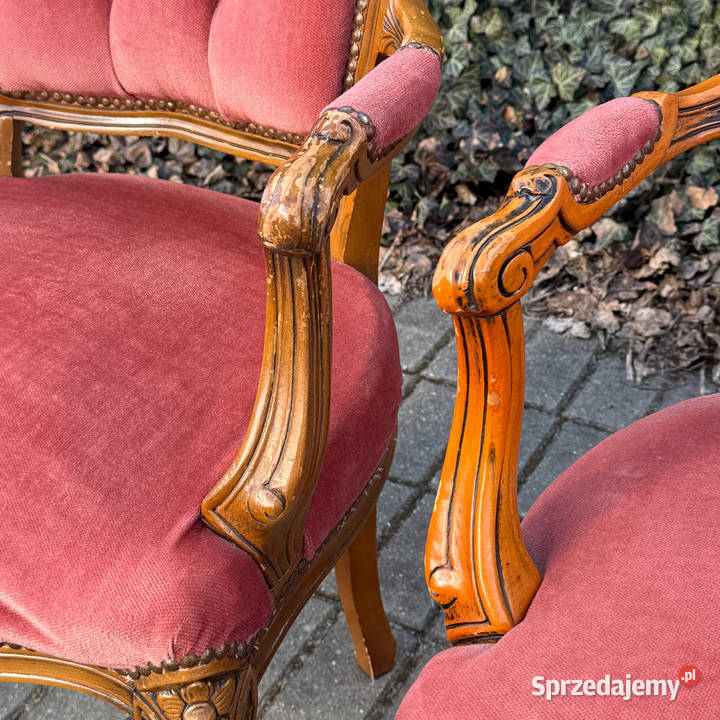 ARTexpert Para foteli Ludwik fotel siedzisko Meble zachodniopomorskie Dobrzany