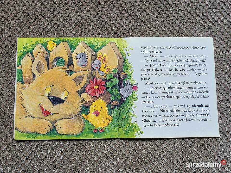 Kurczaczek Czaczek Mariusz Niemycki małopolskie Kraków sprzedam