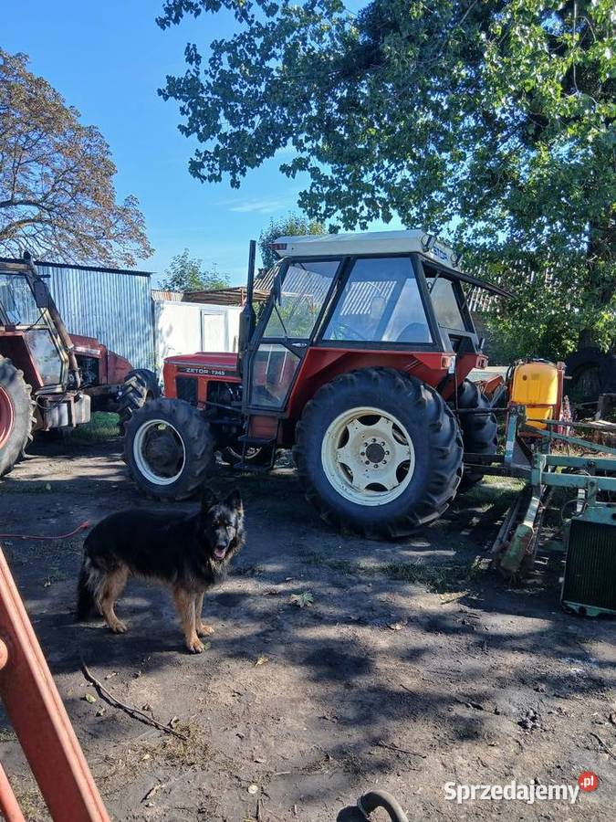 Zetor 6045 sprowadzony lubelskie Muratyn
