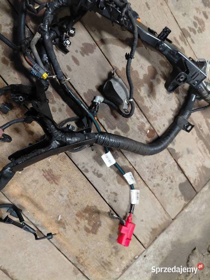 WIĄZKA SILNIKA RENAULT MASTER 3 2022 R Maleniska