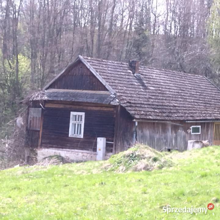 dom drewniany małopolskie Binarowa